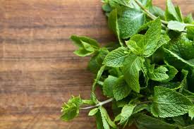 We recommend using peppermint and not spearmint: 10 Best Mint Substitutes Quick Easy Fix Substitute Cooking