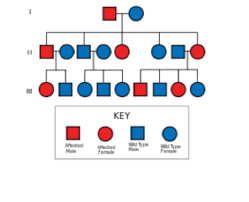 Dna damages and mutation are fundamentally different. Lesson Finding A Gene On A Chromosome Map Betterlesson