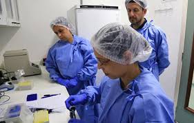 Paho Who Paho Providing Technical Cooperation To Countries On Novel Coronavirus