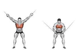 They may also become strained when you twist your upper body during. Top 5 Best Exercises For A Lean Chest Workout A Lean Life