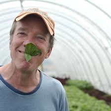 Urban farm raising greens, jobs