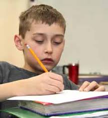 2012-13 Annual Report