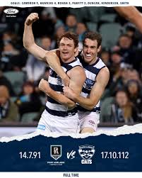 The club competes in the australian football league (afl). Vdlvi0intjsdym