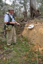 Florida offers metal detecting adventures in all corners of the state. 49 Metal Detecting Ideas Metal Detecting Metal Metal Detector