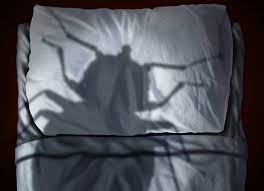 Yes, in addition to biting and feeding on people, bedbugs are known to feed on cats and dogs in infested homes. Getting Rid Of Bedbugs When You Have Pets In The Home Petmd