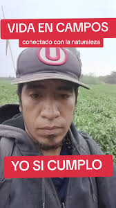 Cristobal Bocangel Cortez