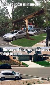 See…you better have a good car insurance. The 13 Funniest Car Insurance Membranes That Improve Your Mood Funniest Improve Insurance Membranes Insurance Meme Car Insurance Insurance Humor