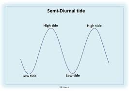Find out how long the sat test takes to complete, and learn the sat timing tips you need to stay on how long does the sat take? Tides Marine Science Australia