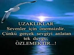 Aynur Dereli Adli Kullanicinin Gulelim Dusunelim Ogrenelim Ders Cikaralim Panosundaki Pin 2020 Bff Sozleri Ilham Veren Alintilar Kitap Alintilari