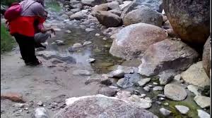 Hot spring and cave restaurant was great. Natural Hot Spring At Kuala Woh Tapah Perak Malaysia Youtube