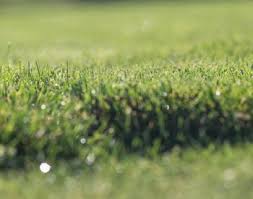 Evaluating opportunities in the landscaping and turfgrass industries the student will be abie applying pesticides correctly. The Long Game Reducing Pesticides On Golf Courses Osu Extension Service