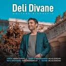 نتیجه تصویری برای ‫دانلود موزیک ویدیوی جدید Buray به نام Deli Divane‬‎