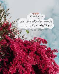 pin by syeℓma ۦ on صورة و كلام جميل in 2021 good morning images morning images nature photography