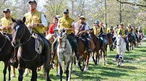 Vedi la nostra ferrari horse selezione dei migliori articoli speciali o personalizzati, fatti a mano dai nostri stampe digitali negozi. Natura A Cavallo Viaggio In Casa Di Mauro Ferrari Cavallo Magazine