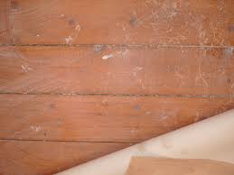 Das bedeutet, dass die platten aus ausgerichteten. Alte Dielen Was Drauf Machen Kuchen Forum