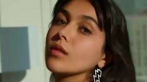 Meet Devon from Netflix show Snowflake Mountain