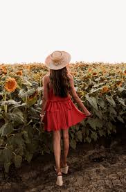 I had some great sessions over i hope you enjoy looking at these photos and will maybe book with me next year. The Sunflower Fields Of Dixon California Miss Minus Sized