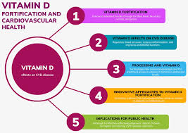 Exploring Vitamin D Synthesis and Function in Cardiovascular Health: A  Narrative Review