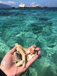 Check spelling or type a new query. Herbalife Coach Nadiah 011 11475950 Percutian Ke Pulau Tioman