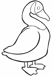 Dibujo Para Colorear Oca 01