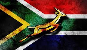 Pin On Rugby World Cup 2015 Teamsa Teambokke Greenandgold