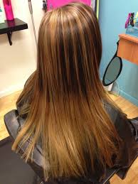 Cute Hair Highlights For Brown Hair Dark Brown Hair With Caramel Highlights Caramel Highlights On Dark Hair Hair Styles