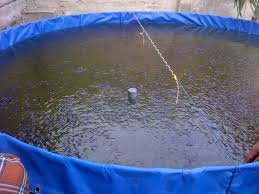 Jual Kolam Terpal Karet D2 Bulat Bundar Budidaya Ikan Lele Nila Mujair Kota Surabaya Adley Ivan Tokopedia
