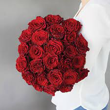 Roses belong to the family of plants called rosaceae. Rose Color Meanings 13 Shades And What They Symbolize Fiftyflowers