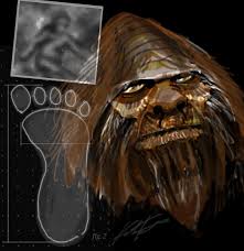 Helens and ape caves area. Bigfoot Dna Discovered Not So Fast Live Science