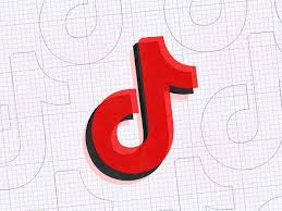 Your Guide To Using Tiktok The Verge