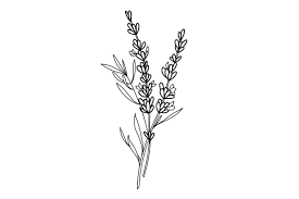 Check spelling or type a new query. Birth Flower Tattoo Ideas For Every Zodiac Sign Hypebae