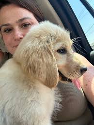 Our Sydney has just turned 1! She's soooo friendly and gets