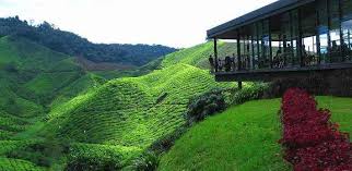 Percutian ke cameron highlands 1. 20 Tempat Menarik Di Cameron Highland Pahang 2021