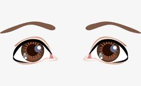 A free brown eyes clip art image for teachers, classroom lessons, educators, school, print, scrapbooking and more. Animated Cartoon Eyes Clipart