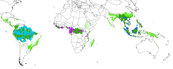 Consistent patterns of common species across tropical tree communities |  Nature