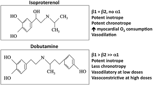 Image result for Dobutamine