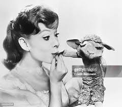 93 Sherry Lewis And Lambchop Stock Photos, High-Res Pictures, and Images