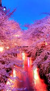 Tons of awesome beautiful girls 4k hd wallpapers to download for free. Beautiful Wallpaper Iphone