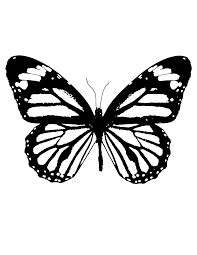 Small Butterfly Tattoo Stencil Novocom Top