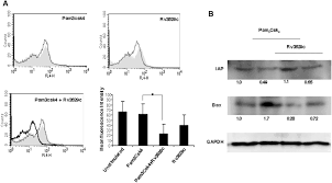 She won a gold medal at the national games, and two gold medals at the world cadet wrestling championship. Suppression Of Toll Like Receptor 2 Mediated Proinflammatory Responses By Mycobacterium Tuberculosis Protein Rv3529c Bandyopadhyay 2017 Journal Of Leukocyte Biology Wiley Online Library