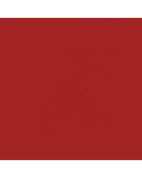 Image result for Briarcliff Red 1963 AMC