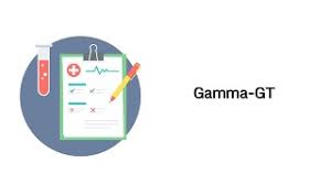 Gamma Gt Laborwerte Blutbild Youtube
