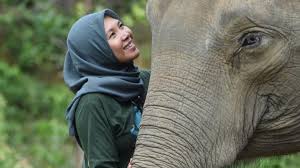 Maybe you would like to learn more about one of these? Touched By A Wounded Elephant Cover Story Magz Tempo Co