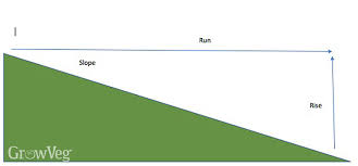 When buying plants make sure they look heathy. How To Create A Vegetable Garden On A Slope