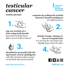Since it is one of the first symptoms of testicular cancer it is recommended that men with. Vnsg 1409 Reproductive Unit Notes Worksheet Flashcards Quizlet