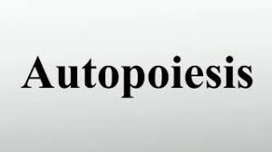 The realization of the living by chilean biologists humberto. Autopoiesis Youtube