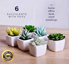 Pin Di Artificial Plants And Greenery