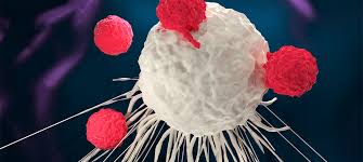Immunotherapy | Cancer Care | Comprehensive Cancer