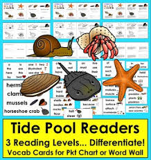 Tide Pools Differentiated Readers 3 Levels Illustrated Word Wall