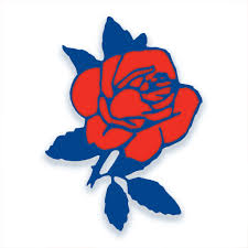 Flowers auckland florist at east tamaki, send flowers, gift baskets and gifts to auckland new zealand (nz) with same day nz flower gift delivery. Van Vliet Flower Group Apps On Google Play